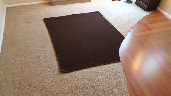 5 astuces pratiques pour entretenir vos tapis et moquettes